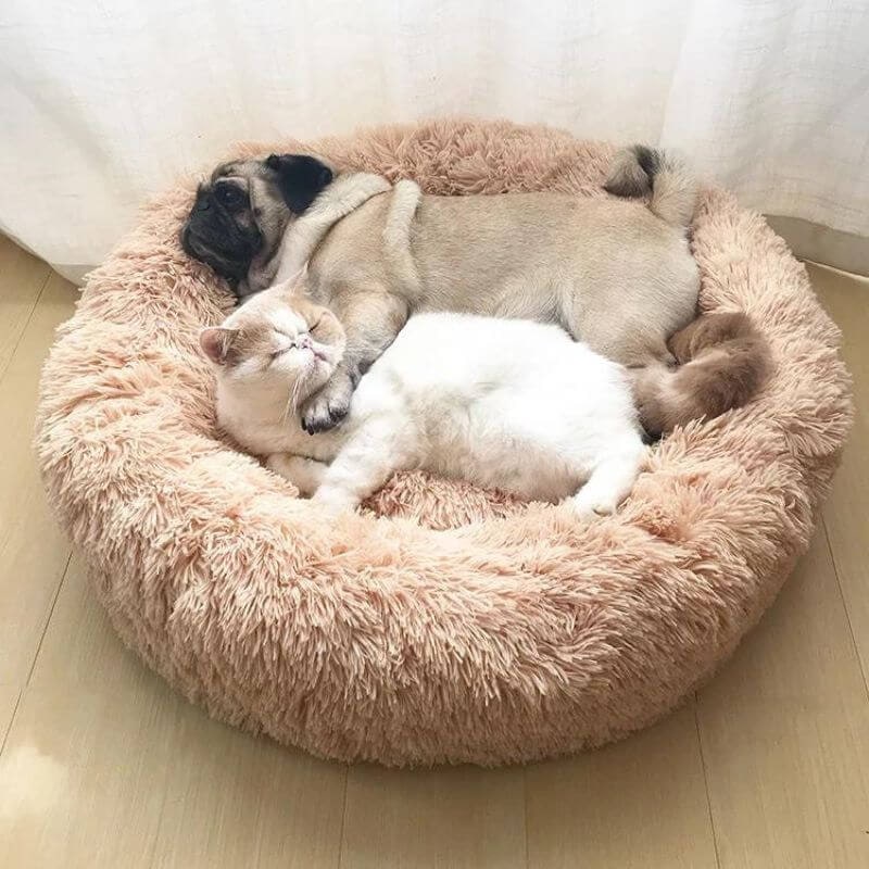 Anxiety Relieving Cat Bed Soft Plush Round Pet Bed Comfort - Image 1