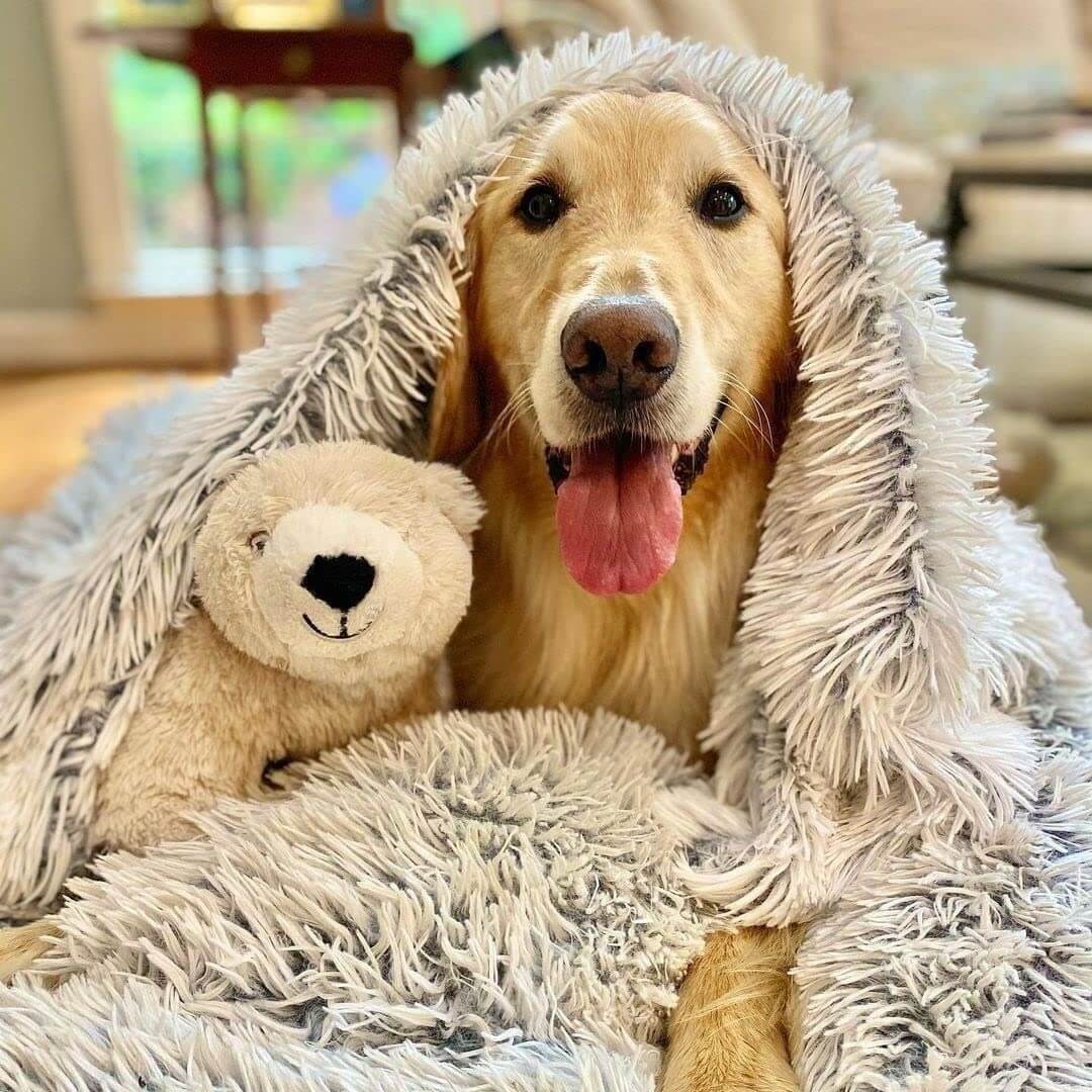 Fluffy Pet Blanket Anxiety Relief Soft Cozy and Comfortable - Image 1